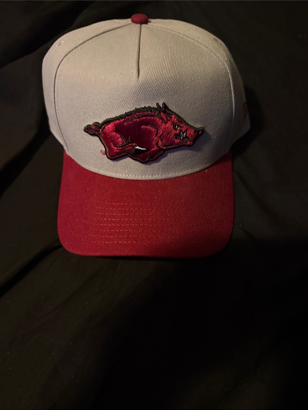 Arkansas Razorbacks Hat
